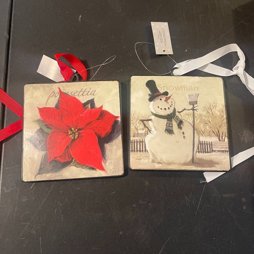 2 NWT Christmas 2020 Hobby Lobby ASPEN Cove Ornaments (153)